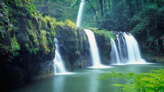 Falls new zealand moss waterfalls national park wallpaper