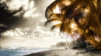 Tropical palm trees island beach wallpaper