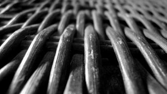 Black and white wood wallpaper