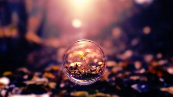 Nature leaves plants bubbles macro wallpaper