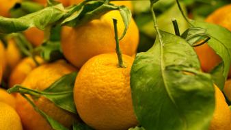 Orange fruits strong fresh vitamins wallpaper