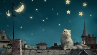 Abstract night stars cats moon artwork wallpaper