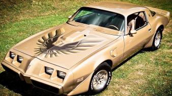 Cars ford chevrolet dodge trans am muscle car wallpaper