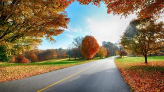 Landscapes nature trees autumn roadway wallpaper