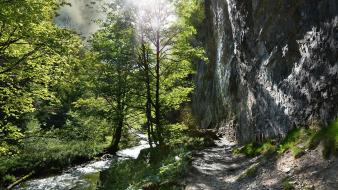 Landscapes trees sunlight trail forest rock path wallpaper