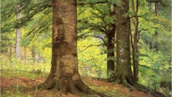 Paintings landscapes trees forests artwork theodore clement steele