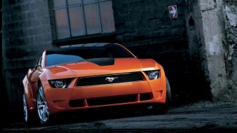 Cars ford mustang auto wallpaper