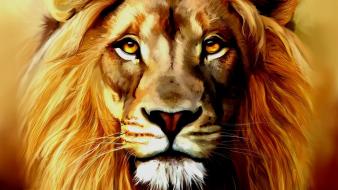 Lions wallpaper