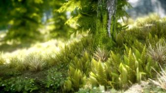 Scrolls v: skyrim grass nature video games wallpaper