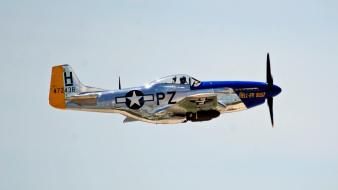 Aircraft p-51 mustang