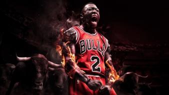 Chicago nba bulls nate robinson basketball player wallpaper