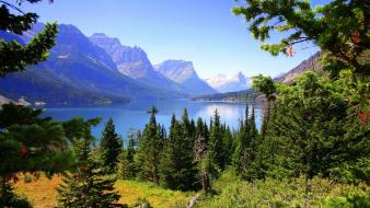 Glacier national park montana blue forests grass wallpaper