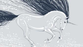 Horses unicorns wallpaper