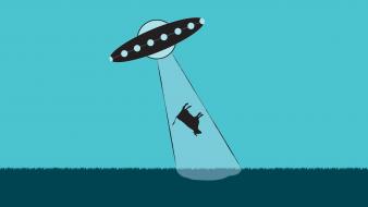 Ufo blue cows wallpaper