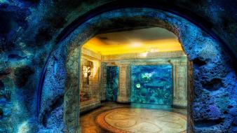 Aquarium hdr photography wallpaper