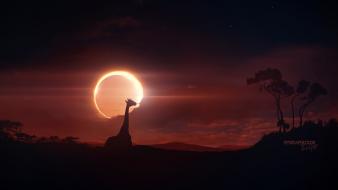 Clouds sun moon eclipse sunlight skies giraffe wallpaper