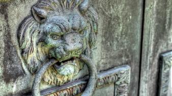 Hdr photography art deco gates knocker lions wallpaper