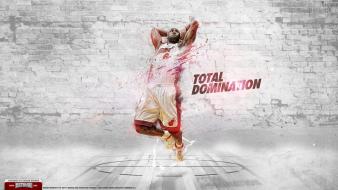 Lebron james miami heat nba basketball player wallpaper