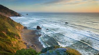Nature coast flowers cliffs california redwoods beach wallpaper