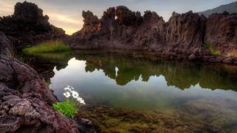 Nature white flowers lava rocks crater lagoon wallpaper