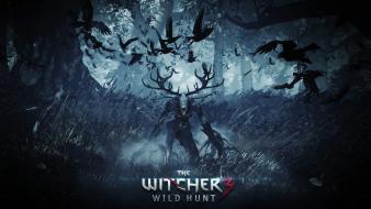 The witcher 3: wild hunt wallpaper