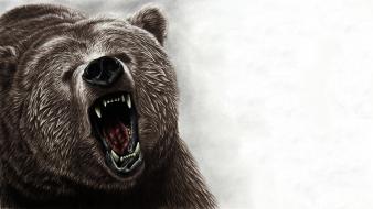 Animals artwork bears roar wallpaper