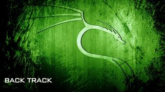 Backtrack 5 linux dragons wallpaper