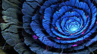 Flowers fractals sparkles bokeh digital art spirals wallpaper