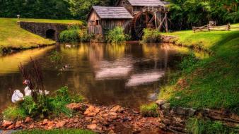 Green landscapes nature forests grass mill rivers watermill