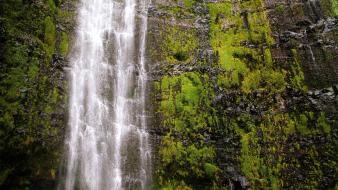 Nature hawaii cliffs usa moss hdr photography waterfalls