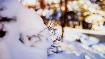 Winter snow bokeh blurred branches wallpaper