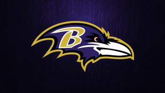 Baltimore ravens logo wallpaper