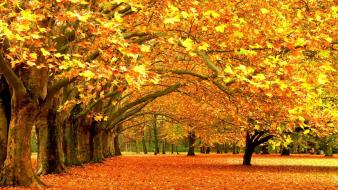 Fall pictures wallpaper