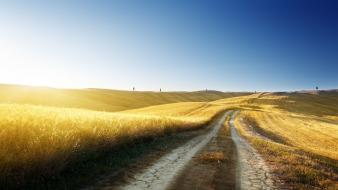 Landscapes yellow fields hills roads skies wallpaper