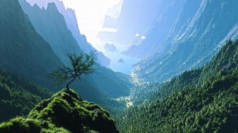 Mountain forest valley wallpaper