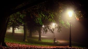 Nocturnal calm grass green lamppost wallpaper