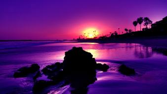 Amazing purple sunset beach