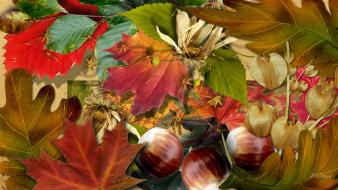 Autumn multicolor hazelnuts many colors leaves wallpaper