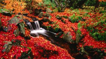 Beautiful autumn waterfall