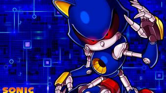 Hedgehog video games metal game characters team wallpaper