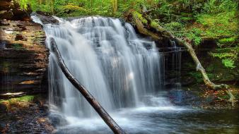 Landscapes pennsylvania waterfalls branches fallen leaves wallpaper
