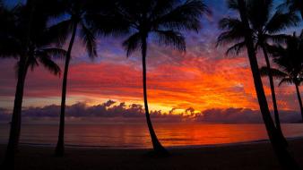 Red yellow morning palms skies dawning beach wallpaper