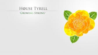 Thrones tv series house tyrell growing strong wallpaper