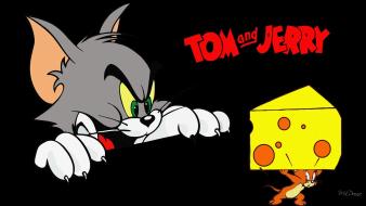 Tom and jerry pictures wallpaper
