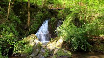 Wooden bridge bridges forests landscapes natural scenery wallpaper