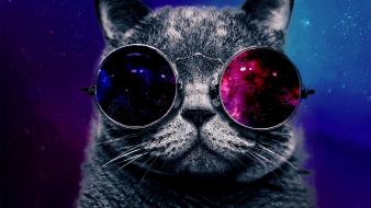 Animals cars glasses outer space stars wallpaper
