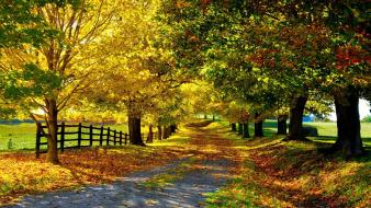 Autumn landscapes roads sunlight wallpaper