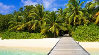 Beach dock