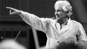 Orchestra faces classical music conducting leonard bernstein