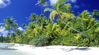 Palm beach solomon islands wallpaper